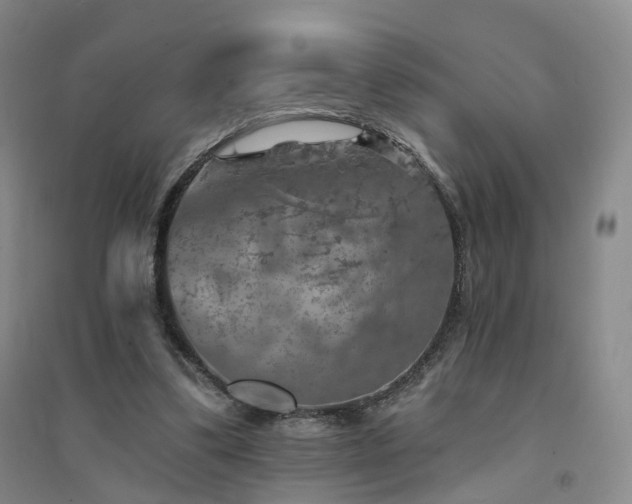 X0000094460299200711151456