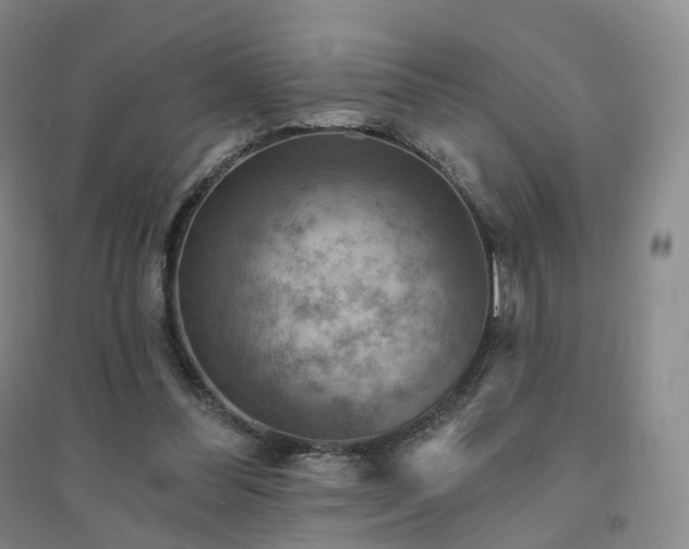 X0000094460300200711151456