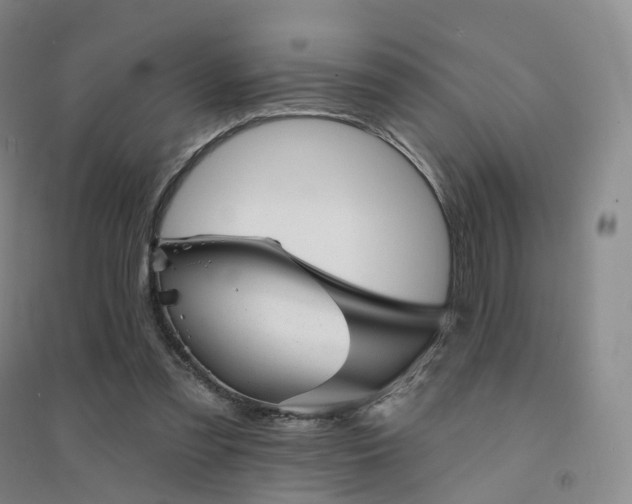 X0000094460301200711151456