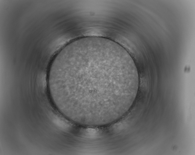 X0000094460302200711151456