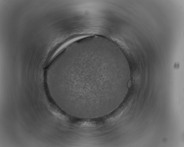 X0000094460303200711151456