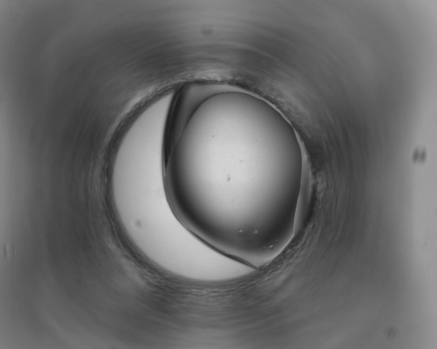 X0000094460304200711151456