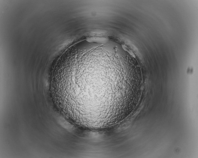 X0000094460305200711151456