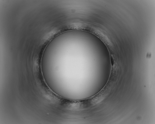 X0000094460306200711151456