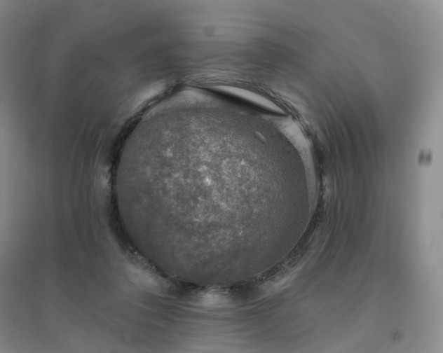X0000094460308200711151456