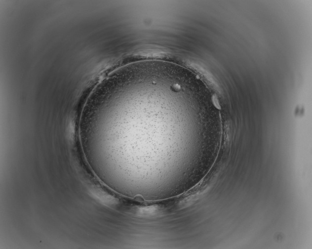 X0000094460309200711151456