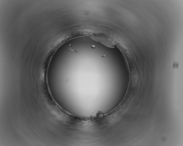 X0000094460310200711151456