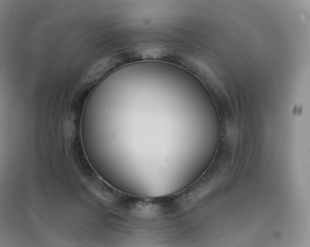 X0000094460311200711151456