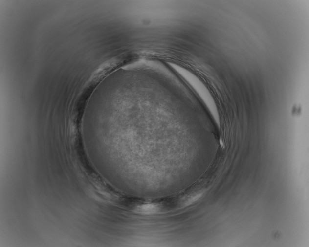 X0000094460312200711151456
