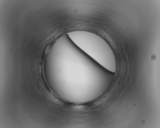 X0000094460313200711151456