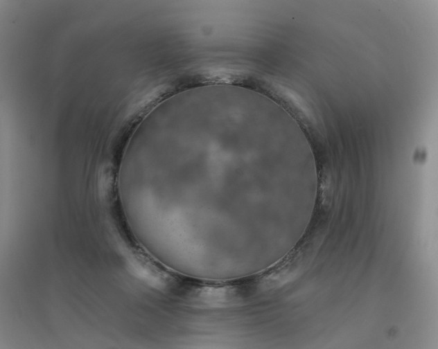 X0000094460314200711151456