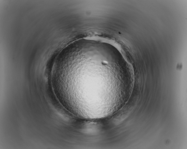 X0000094460315200711151456