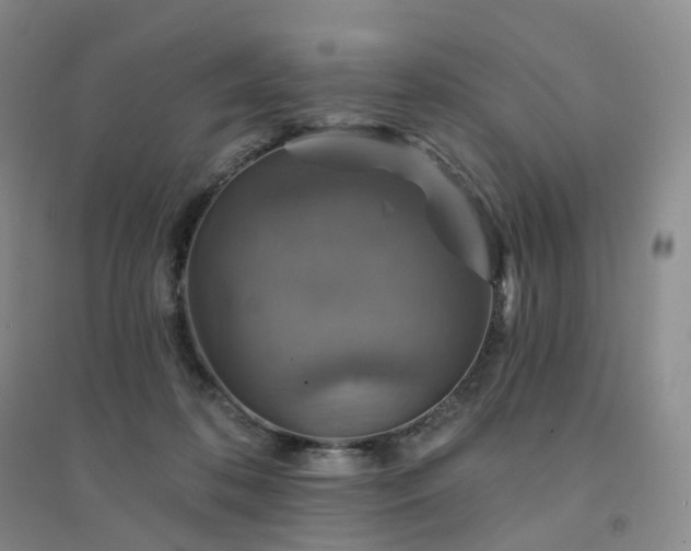 X0000094460316200711151456