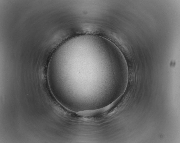 X0000094460317200711151456