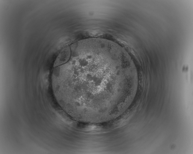 X0000094460319200711151456