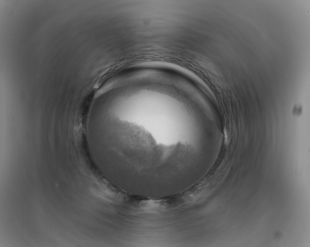 X0000094460320200711151456