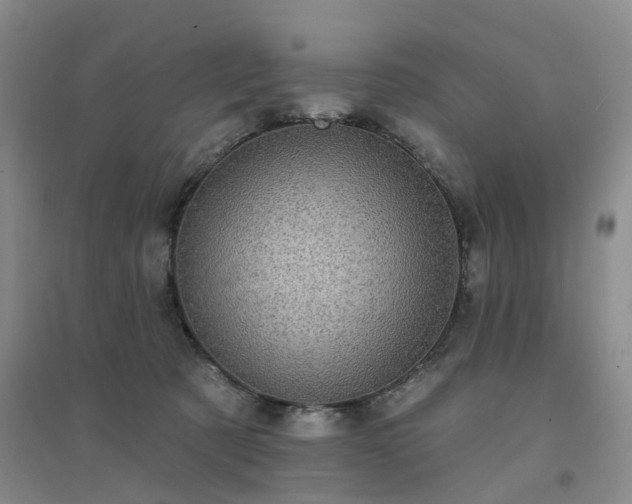 X0000094460321200711151456
