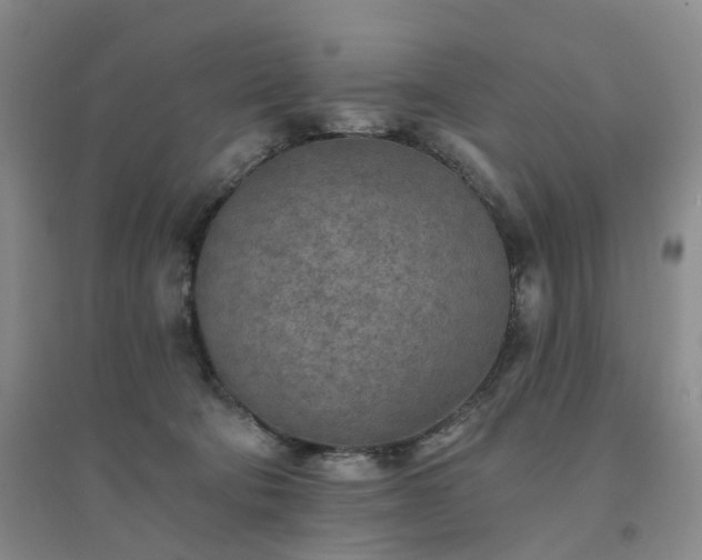 X0000094460322200711151456