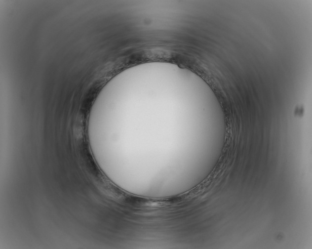 X0000094460323200711151456