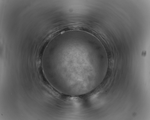 X0000094460324200711151455