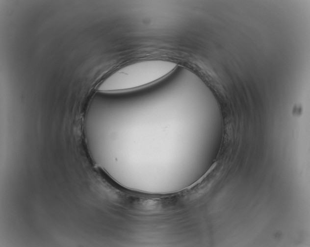 X0000094460325200711151455