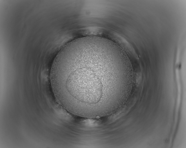 X0000094460326200711151455