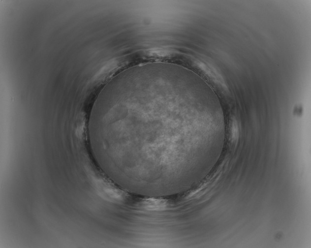 X0000094460328200711151455