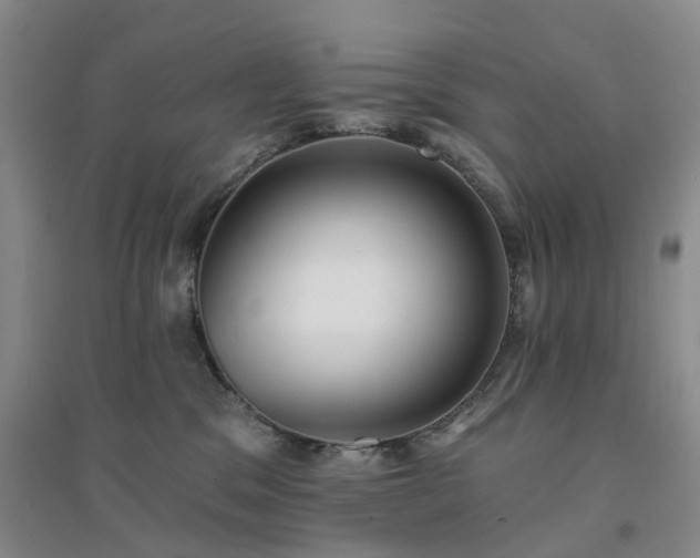 X0000094460329200711151455