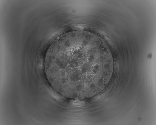 X0000094460331200711151455