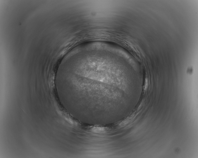 X0000094460332200711151455