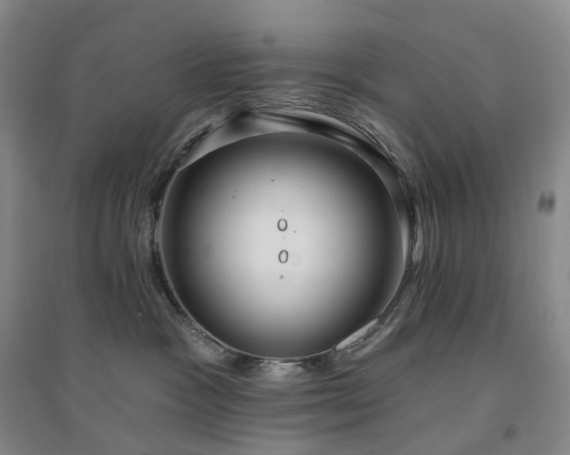 X0000094460333200711151455