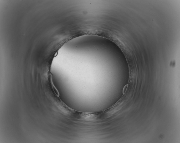 X0000094460334200711151455