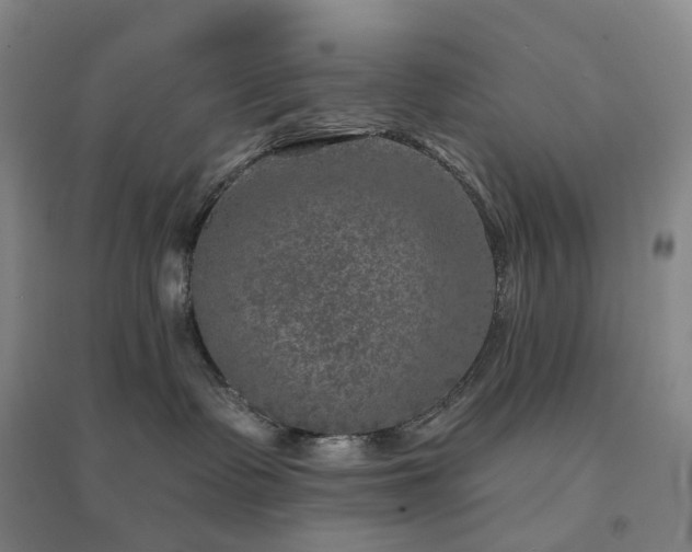 X0000094460335200711151455
