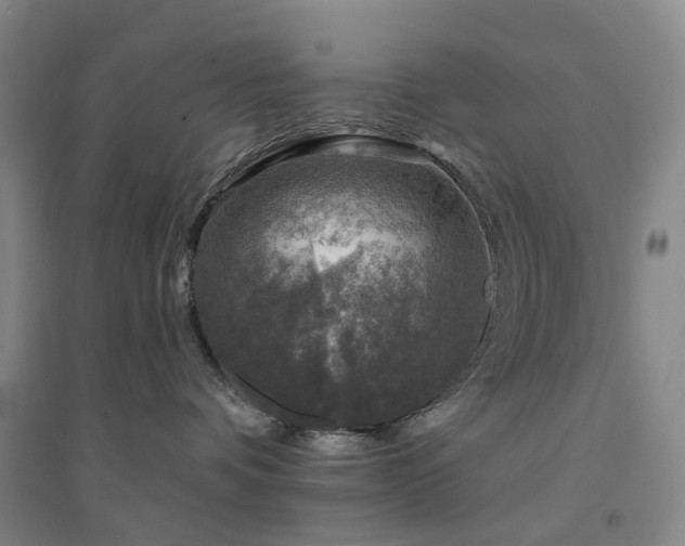 X0000094460336200711151455