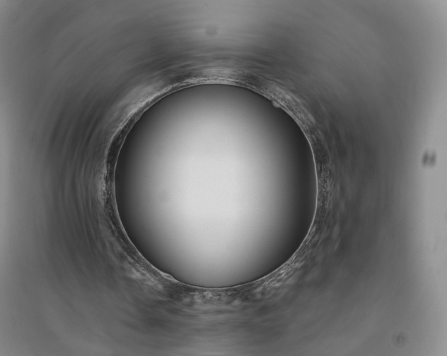 X0000094460338200711151455