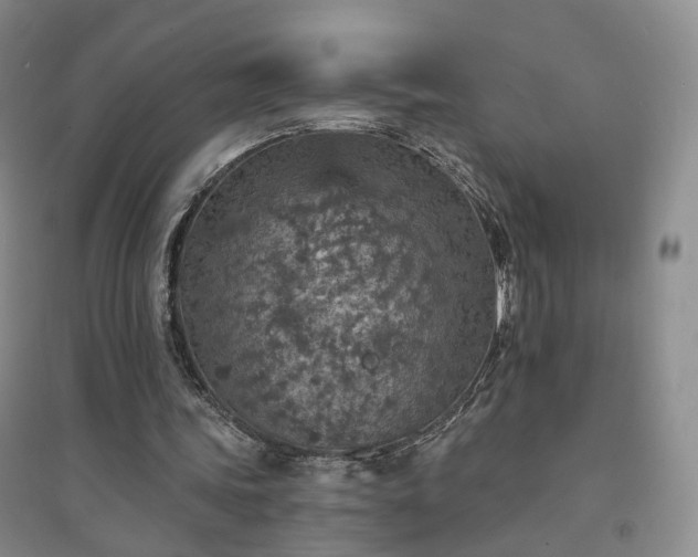 X0000094460339200711151455