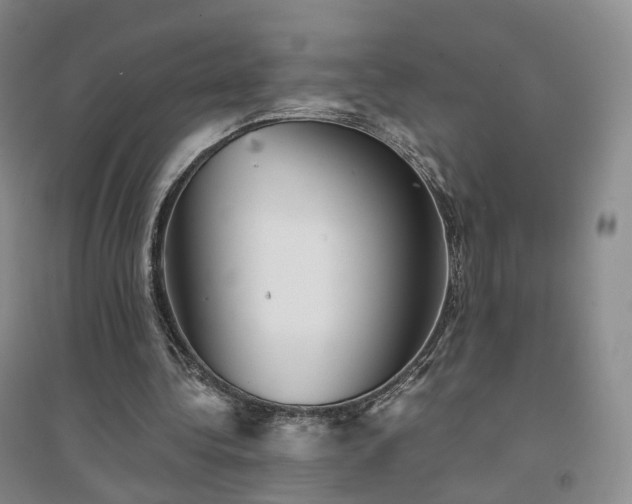 X0000094460340200711151455