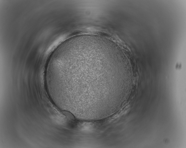 X0000094460341200711151455