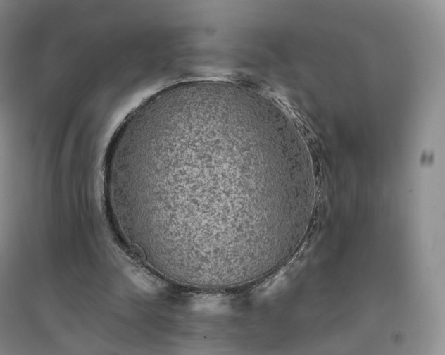X0000094460342200711151455