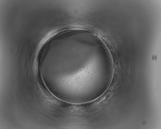 X0000094460343200711151455