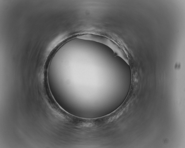 X0000094460344200711151455