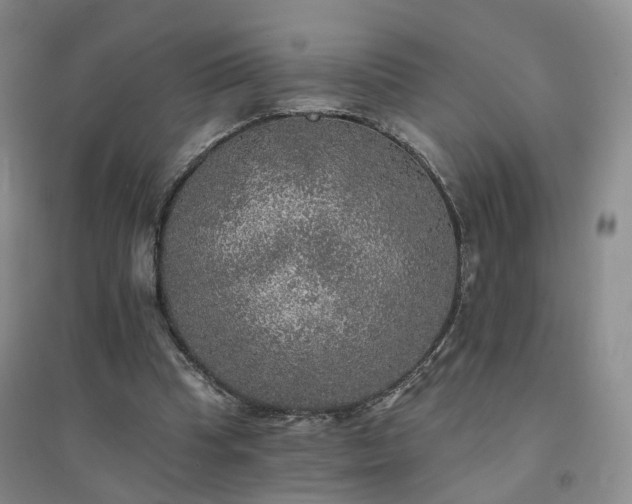 X0000094460345200711151455