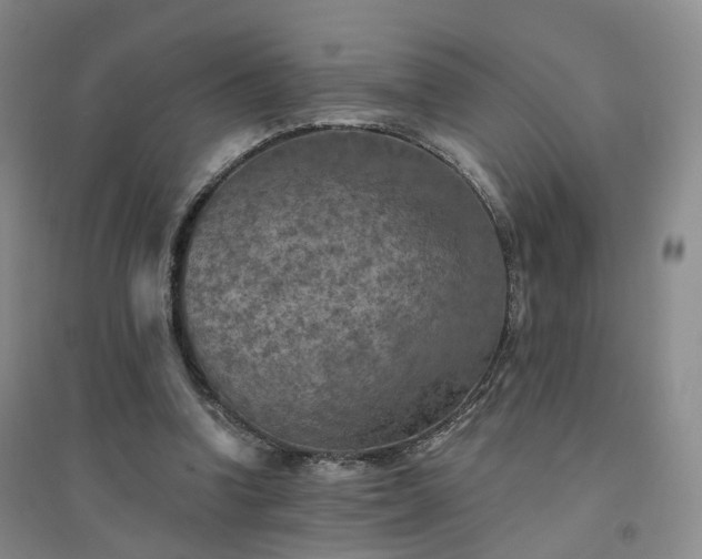 X0000094460346200711151455
