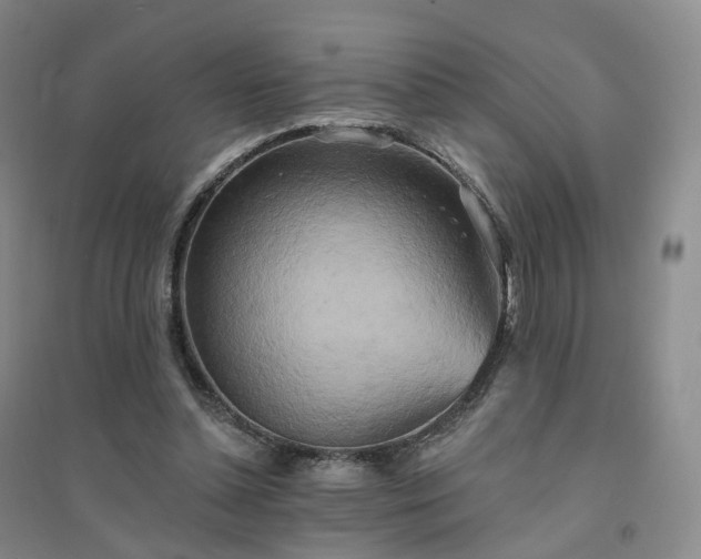X0000094460348200711151455