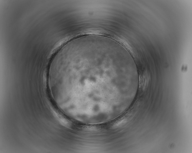 X0000094460349200711151455