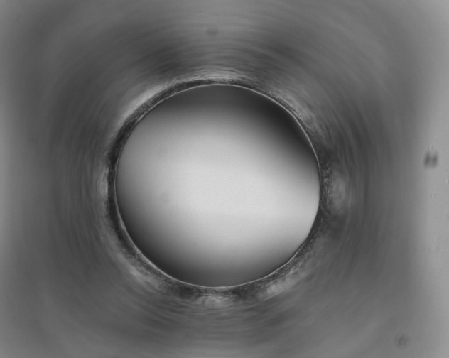 X0000094460350200711151455
