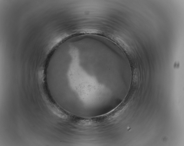 X0000094460351200711151455