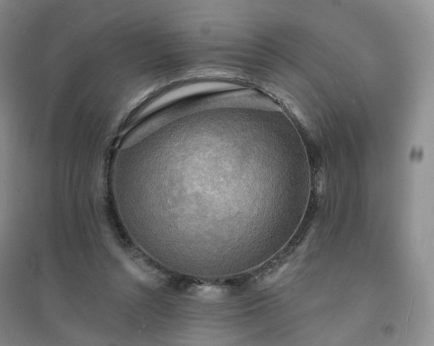 X0000094460352200711151455