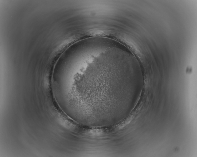X0000094460353200711151455
