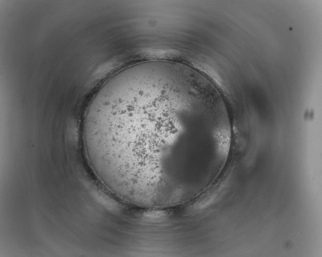 X0000094460357200711151455